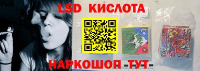 стаф Нальчик