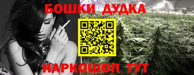 стаф Нальчик
