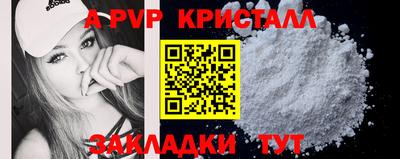стаф Нальчик