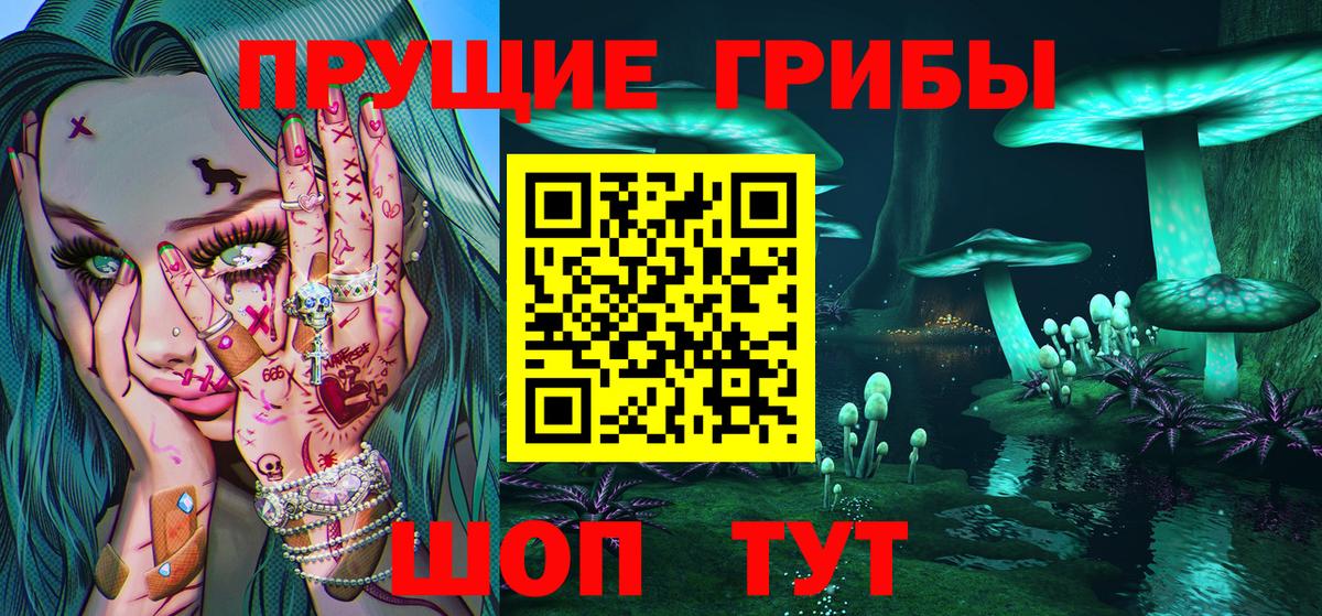 Псилоцибиновые грибы прущие грибы Хасавюрт