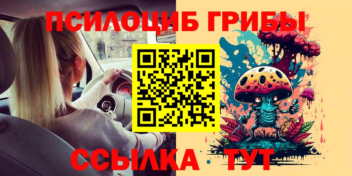 Галлюциногенные грибы Psilocybe  Псилоцибиновые грибы мицелий  Вход с VPN  Хасавюрт 